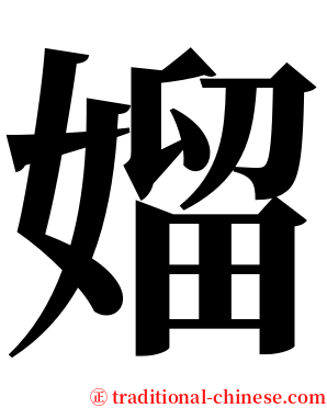 媹 serif font