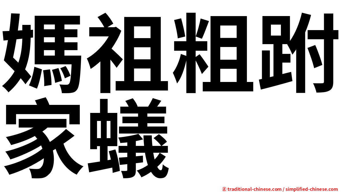 媽祖粗跗家蟻