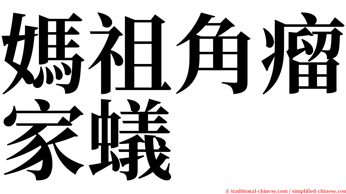媽祖角瘤家蟻 serif font