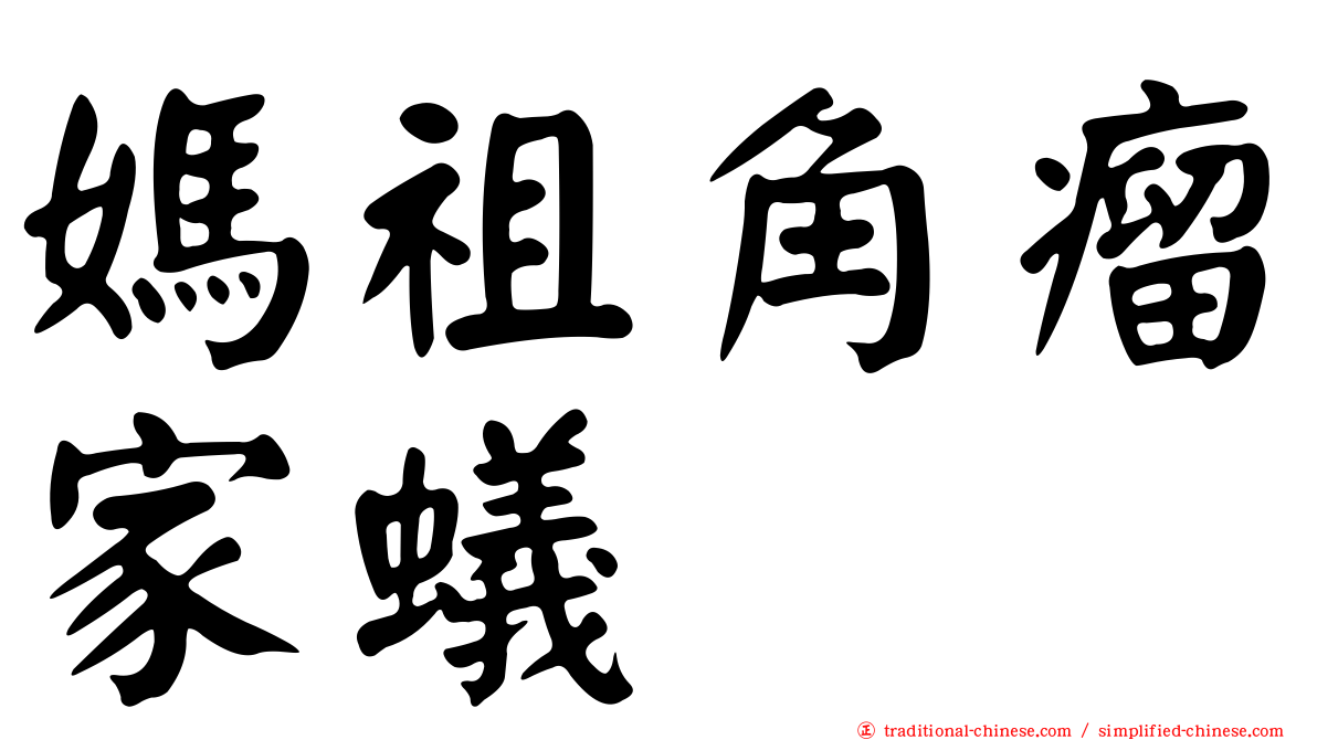 媽祖角瘤家蟻
