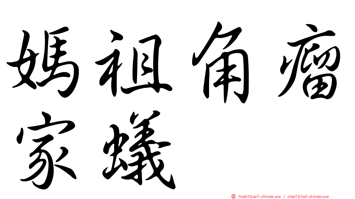 媽祖角瘤家蟻