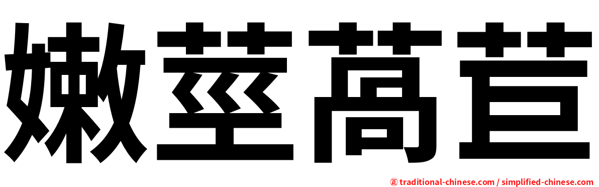 嫩莖萵苣