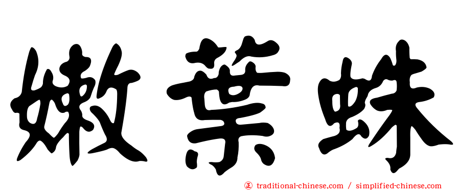 嫩葉蛛