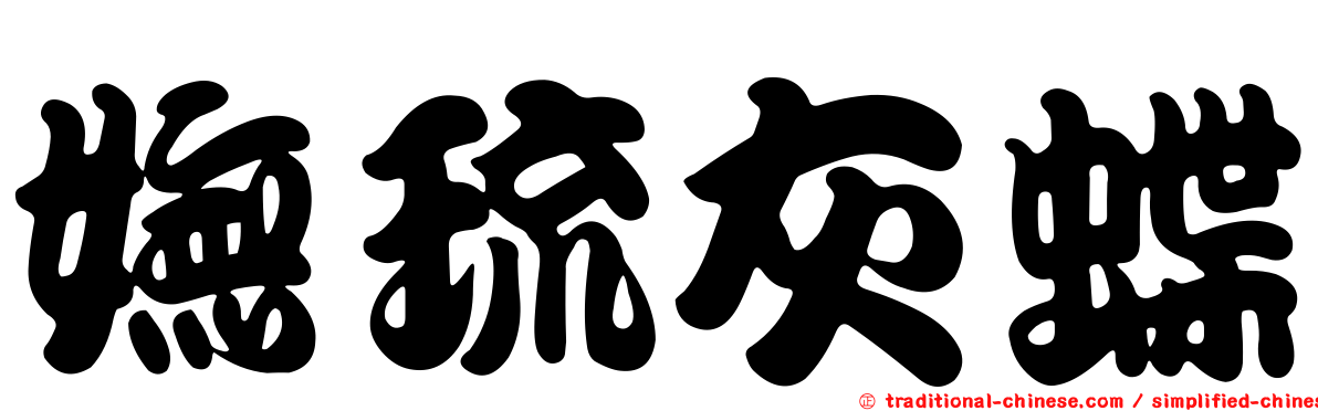 嫵琉灰蝶