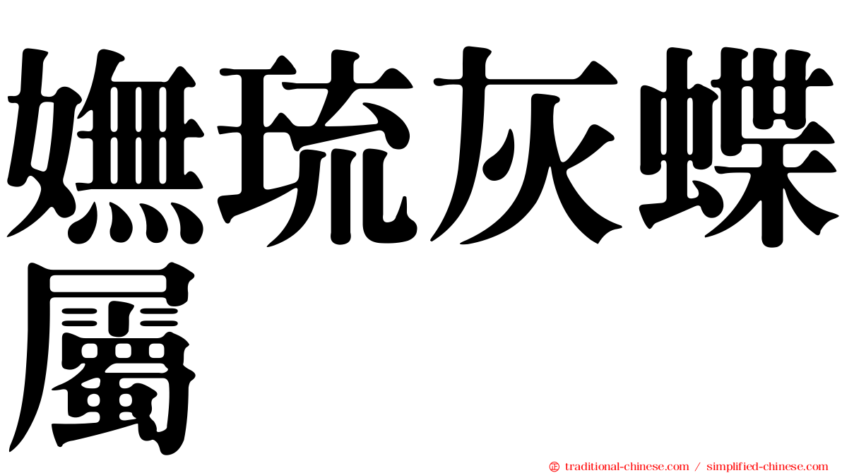 嫵琉灰蝶屬