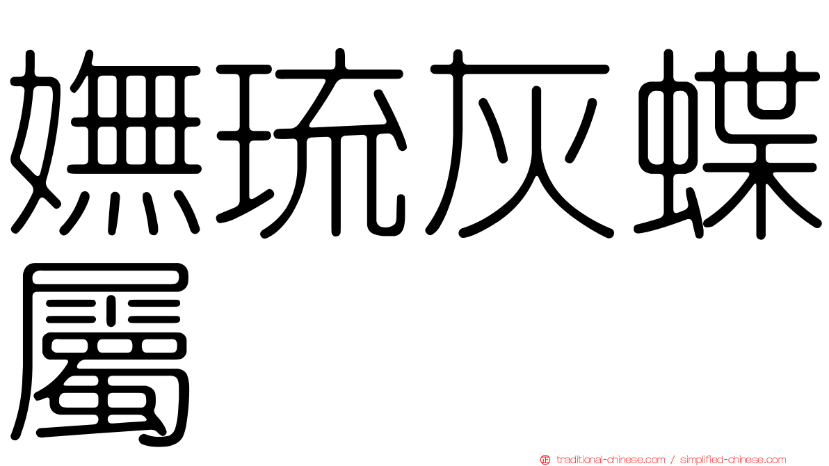 嫵琉灰蝶屬