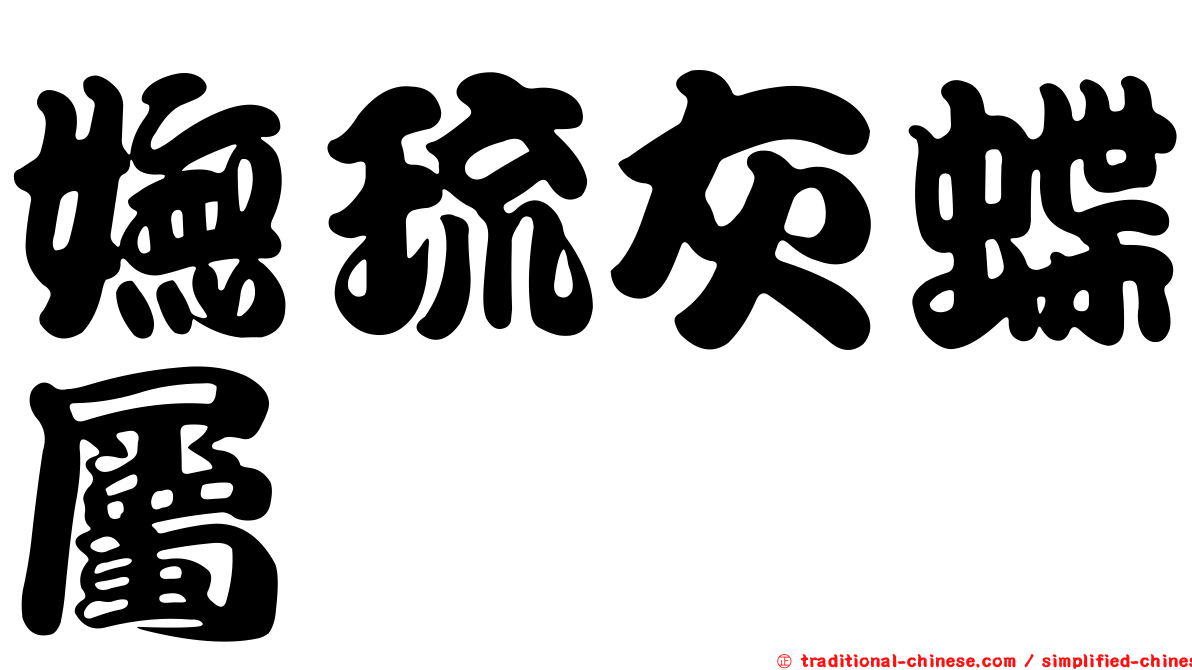 嫵琉灰蝶屬