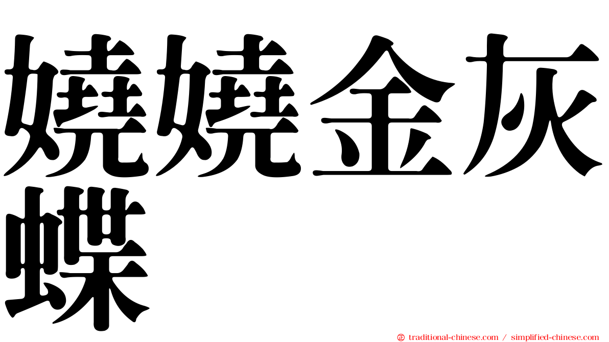 嬈嬈金灰蝶