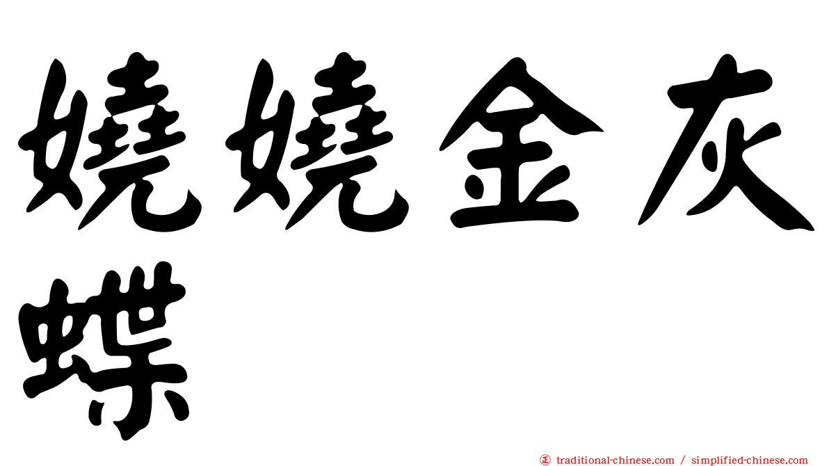 嬈嬈金灰蝶