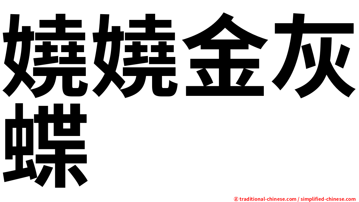 嬈嬈金灰蝶