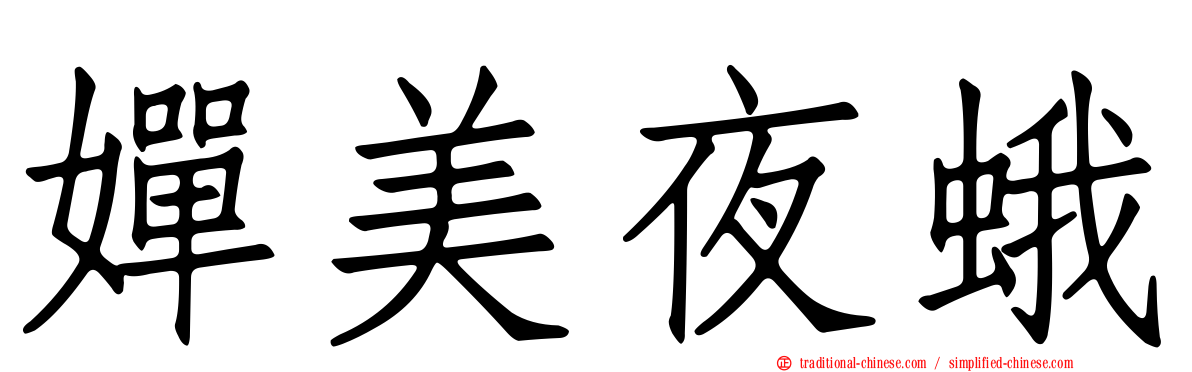嬋美夜蛾