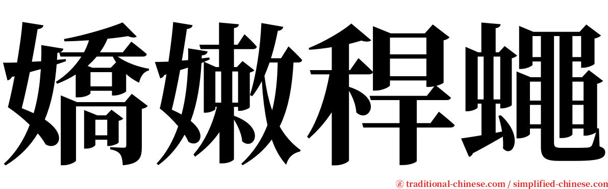 嬌嫩稈蠅 serif font
