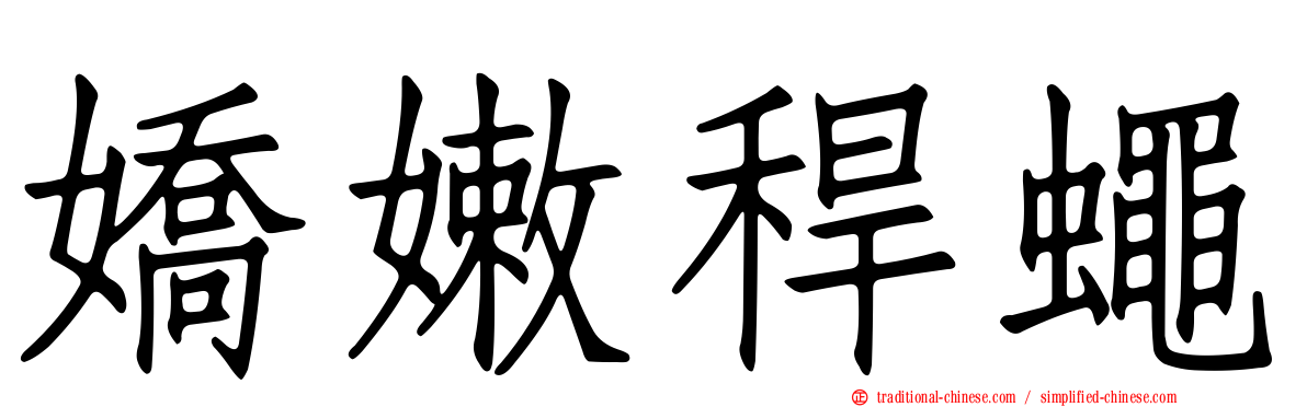 嬌嫩稈蠅