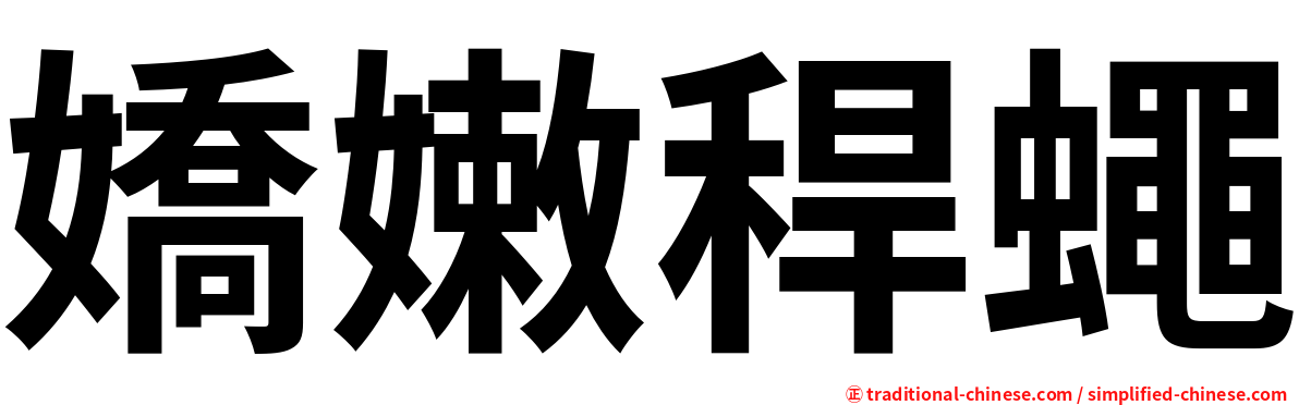 嬌嫩稈蠅