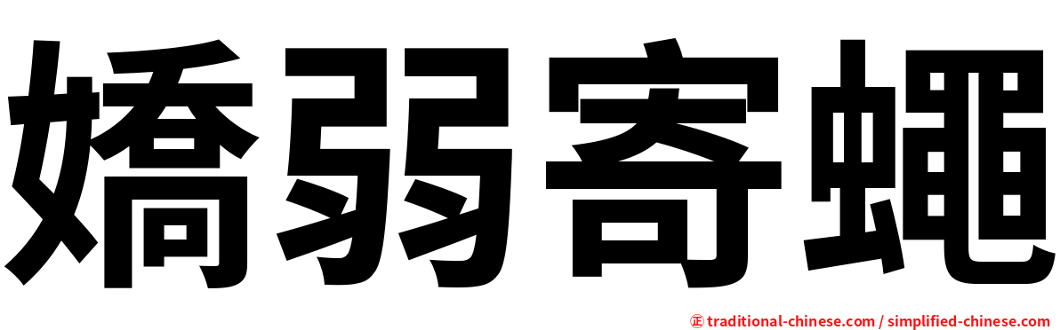 嬌弱寄蠅