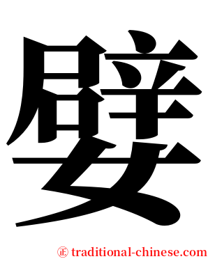 嬖 serif font