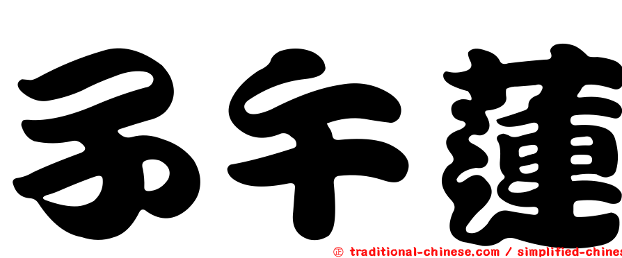 子午蓮