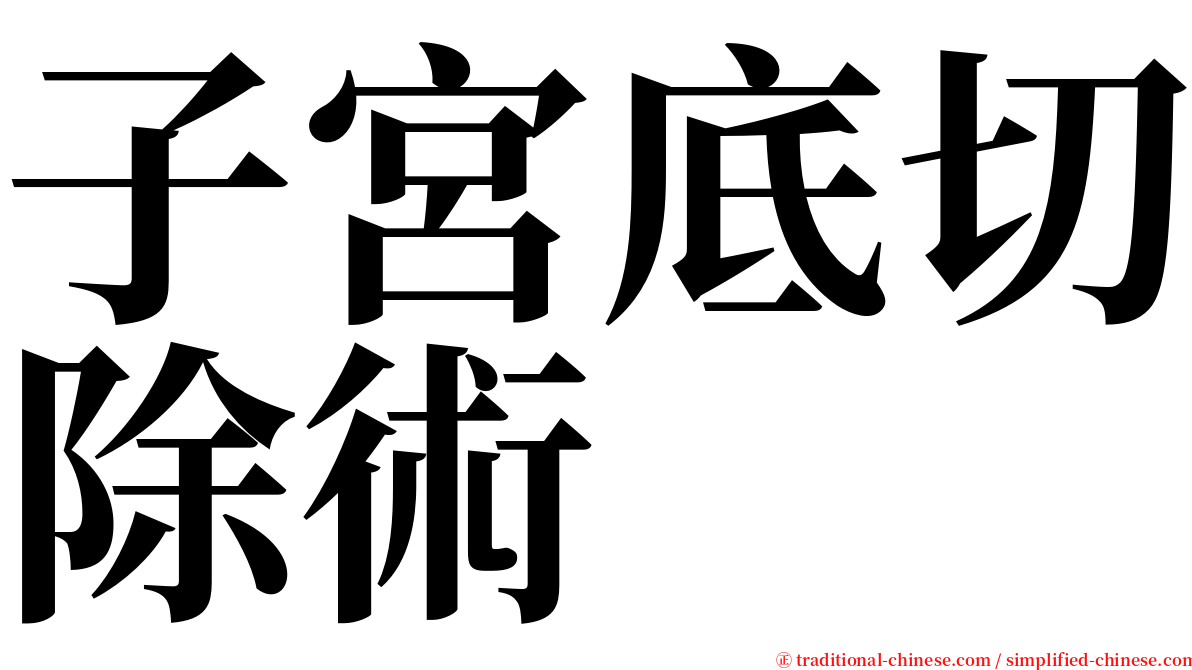 子宮底切除術 serif font