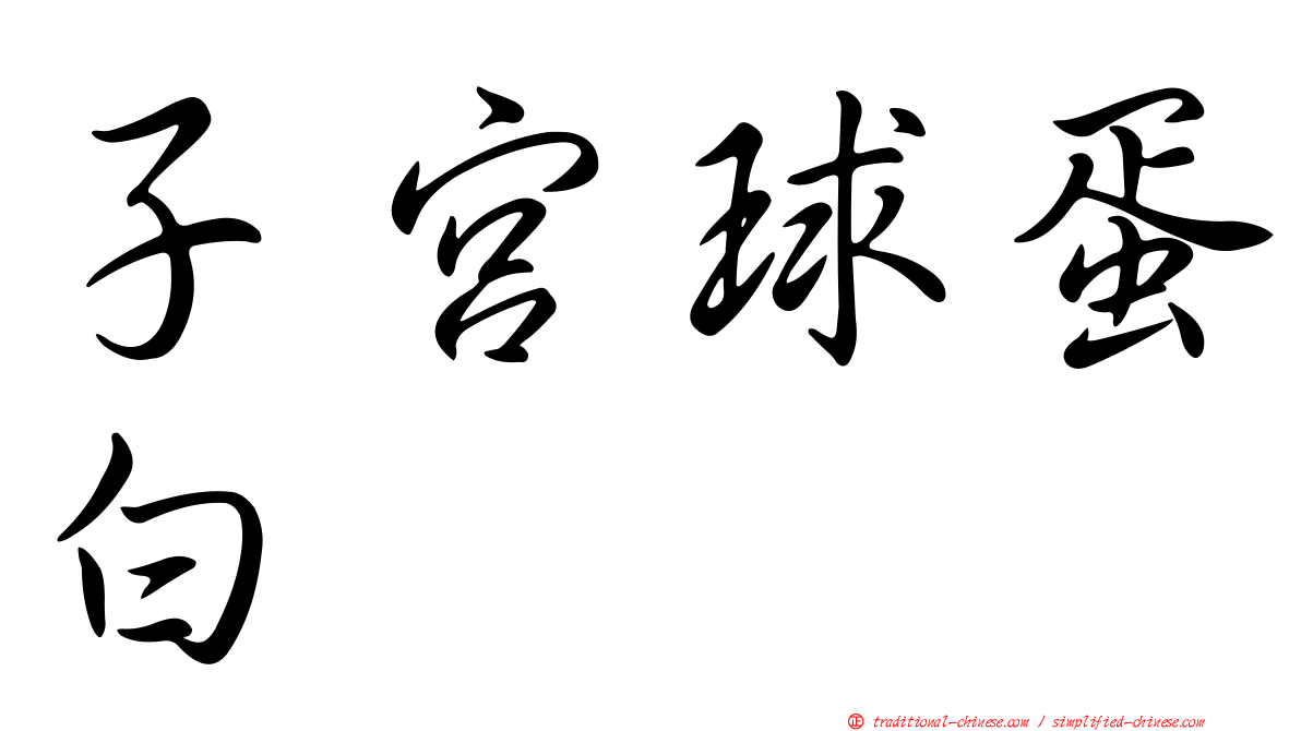 子宮球蛋白