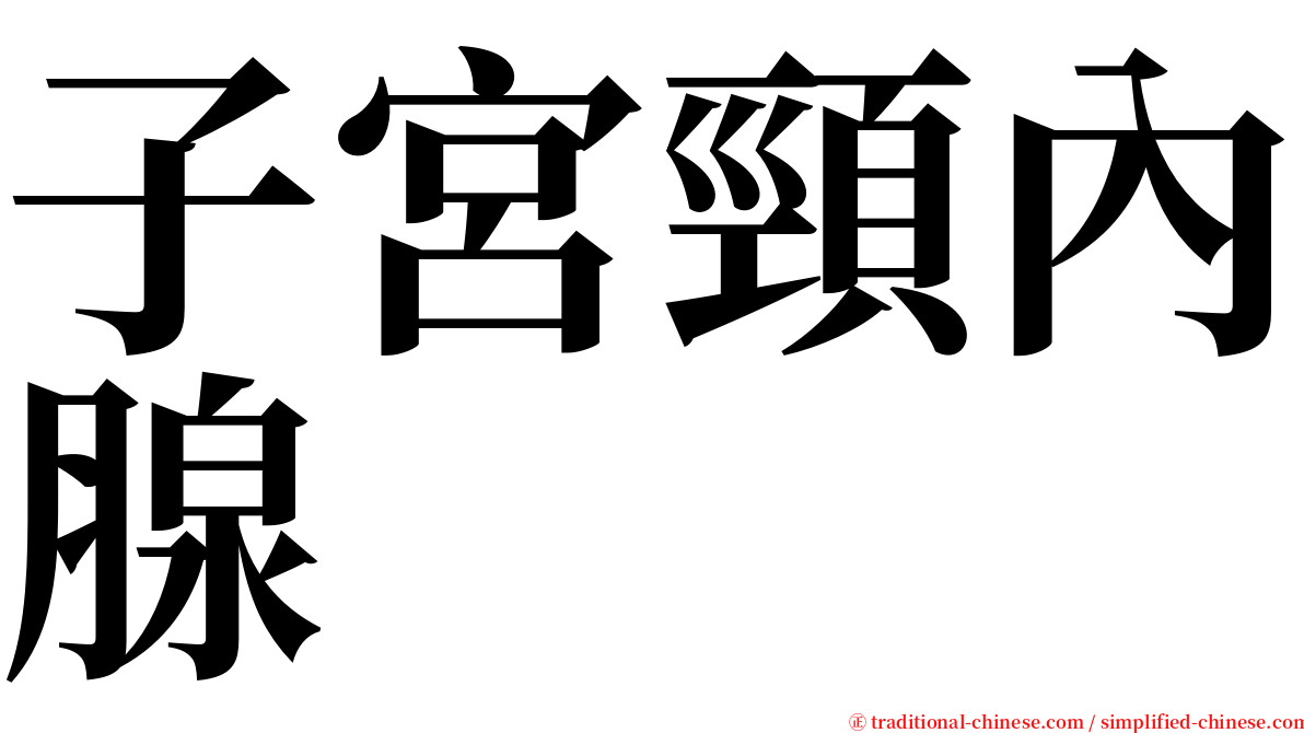 子宮頸內腺 serif font