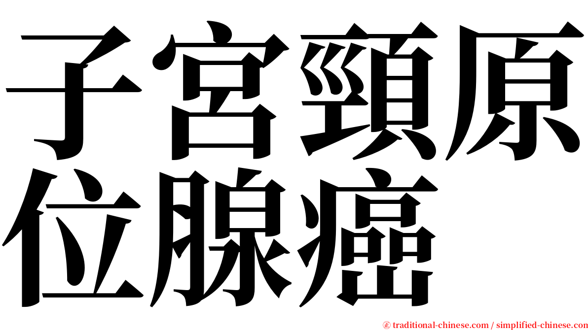 子宮頸原位腺癌 serif font