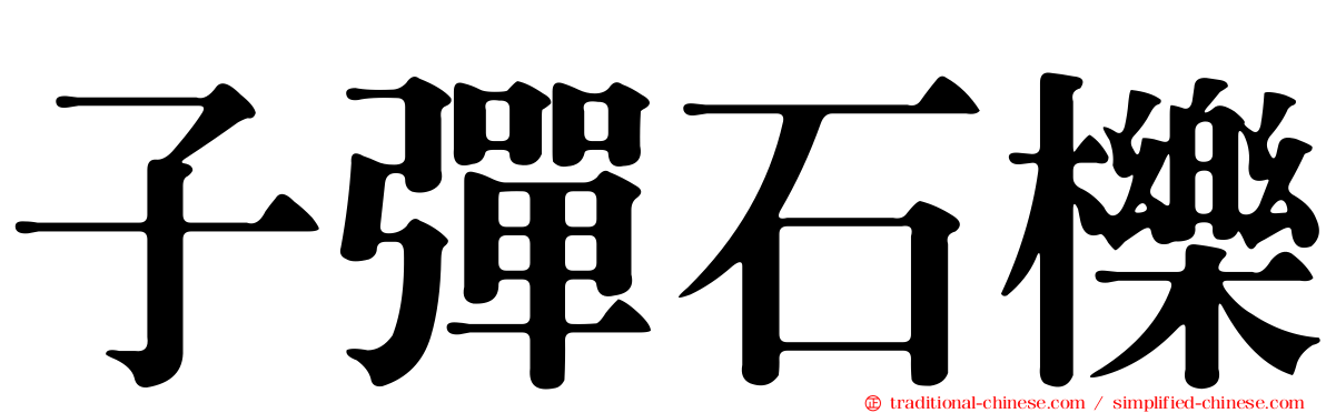 子彈石櫟