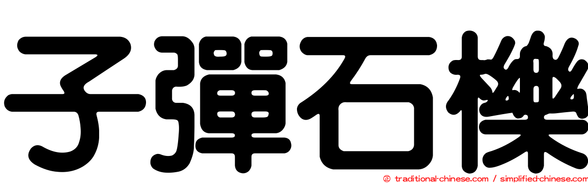 子彈石櫟