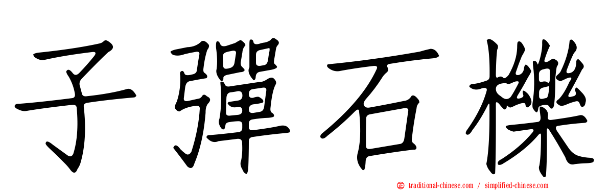 子彈石櫟