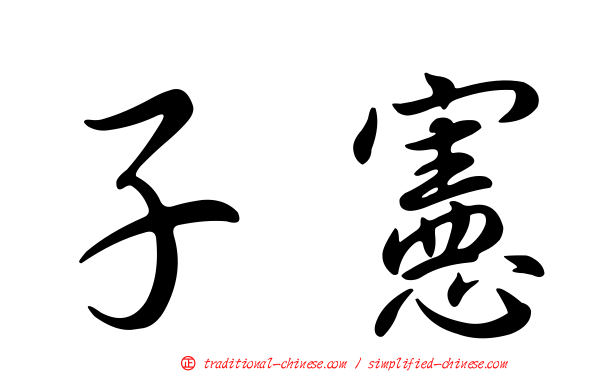 子憲