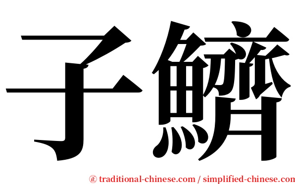 子鱭 serif font