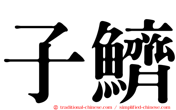 子鱭