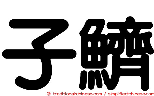子鱭