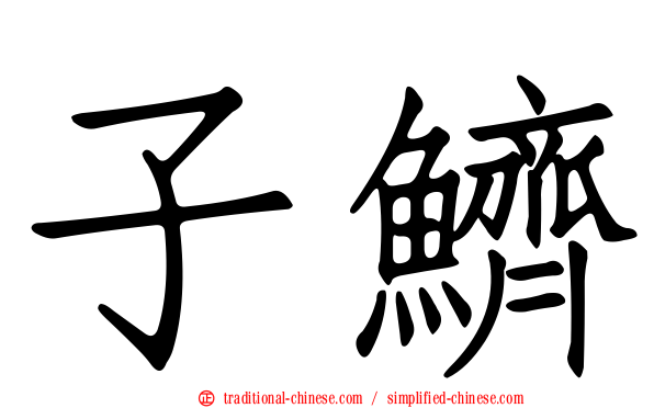 子鱭