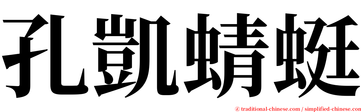 孔凱蜻蜓 serif font