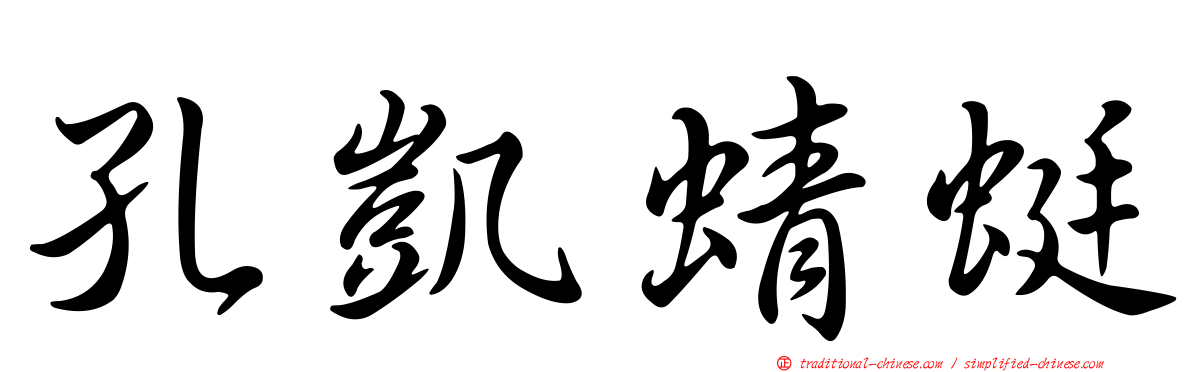 孔凱蜻蜓