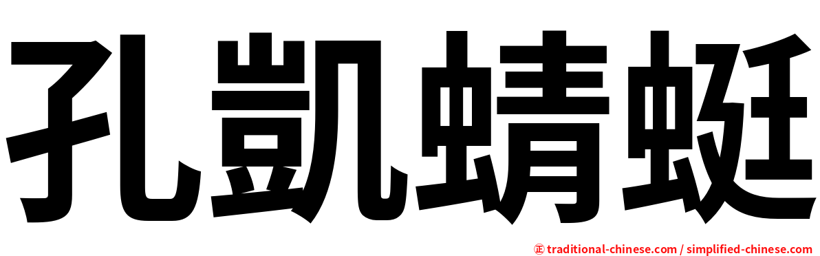 孔凱蜻蜓