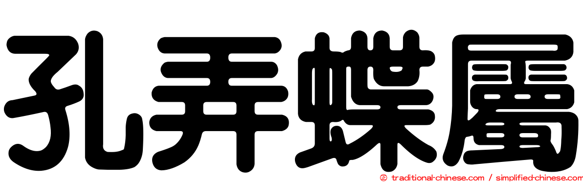 孔弄蝶屬