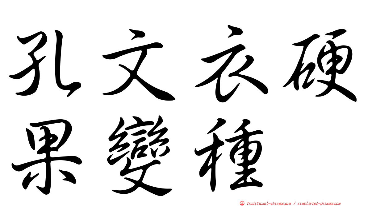 孔文衣硬果變種