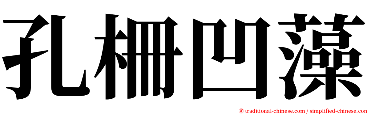 孔柵凹藻 serif font