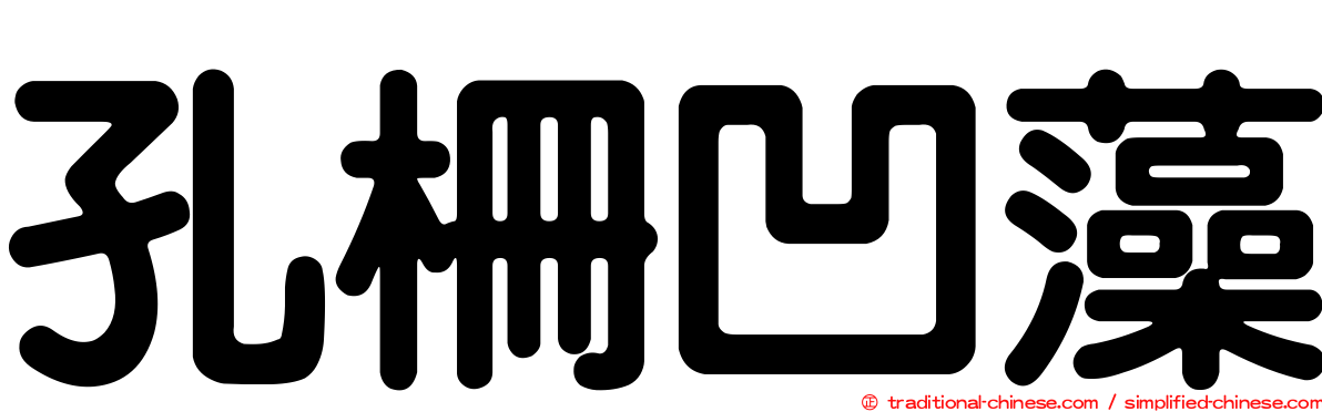 孔柵凹藻