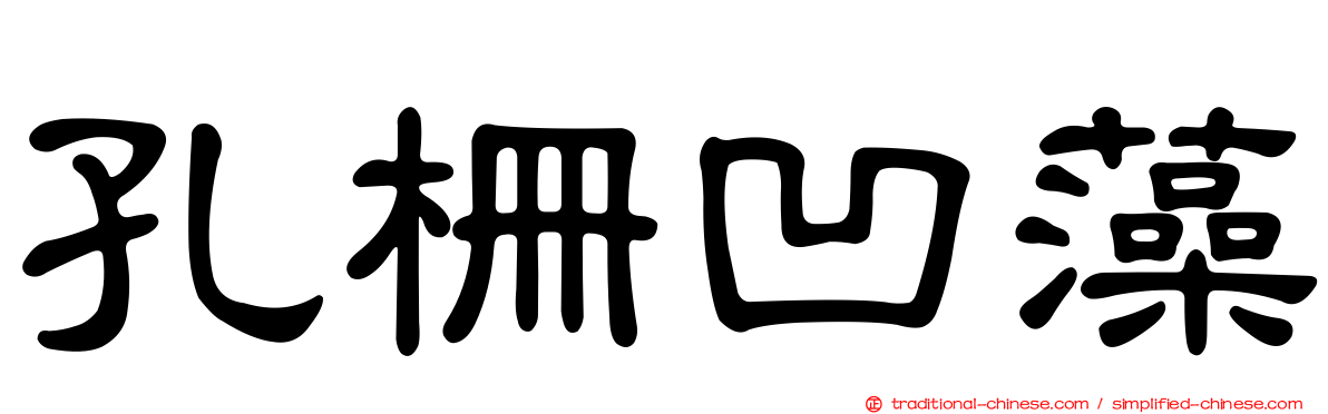孔柵凹藻