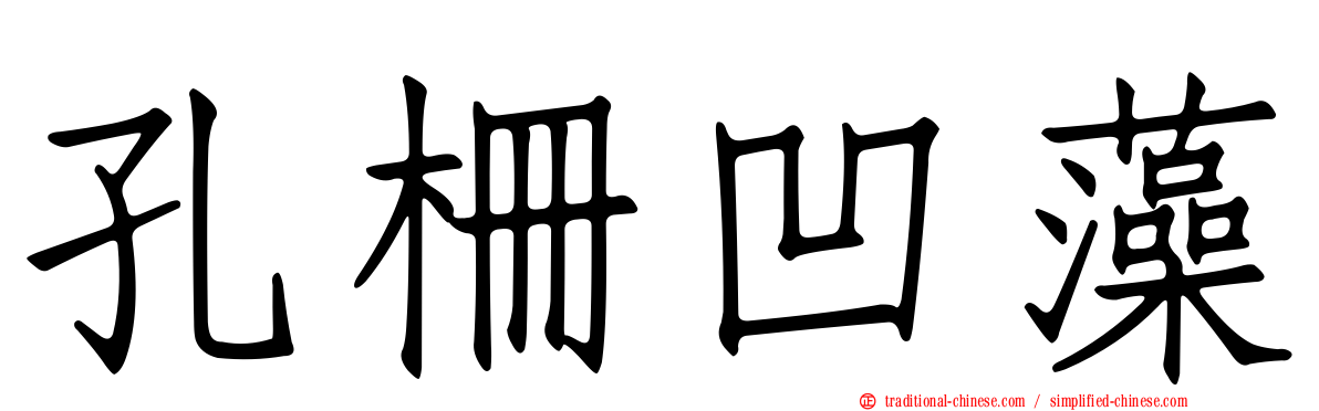 孔柵凹藻