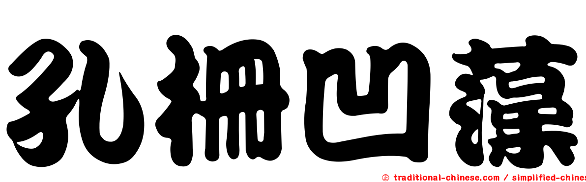孔柵凹藻