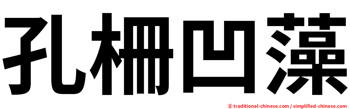 孔柵凹藻