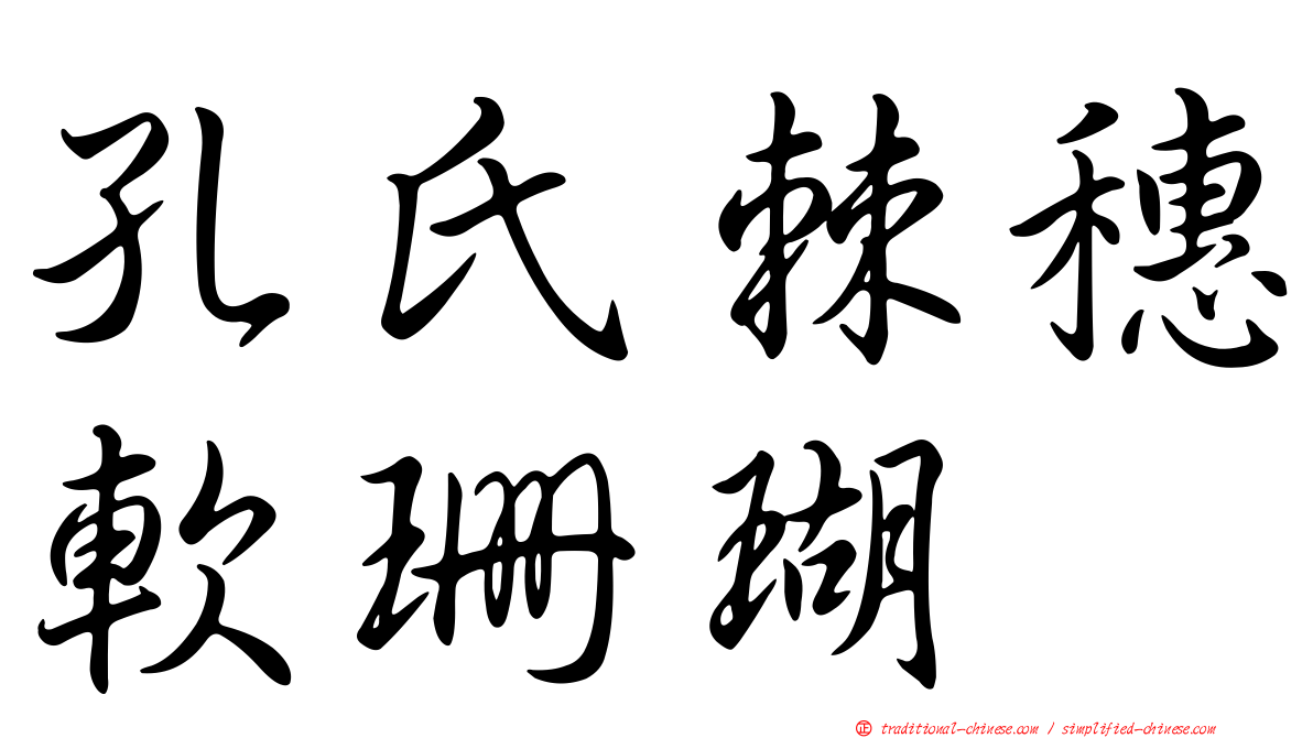 孔氏棘穗軟珊瑚