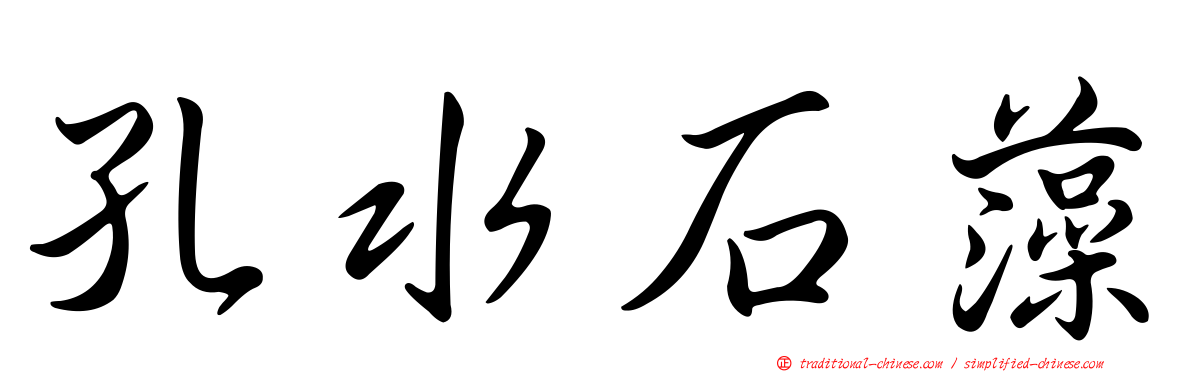 孔水石藻