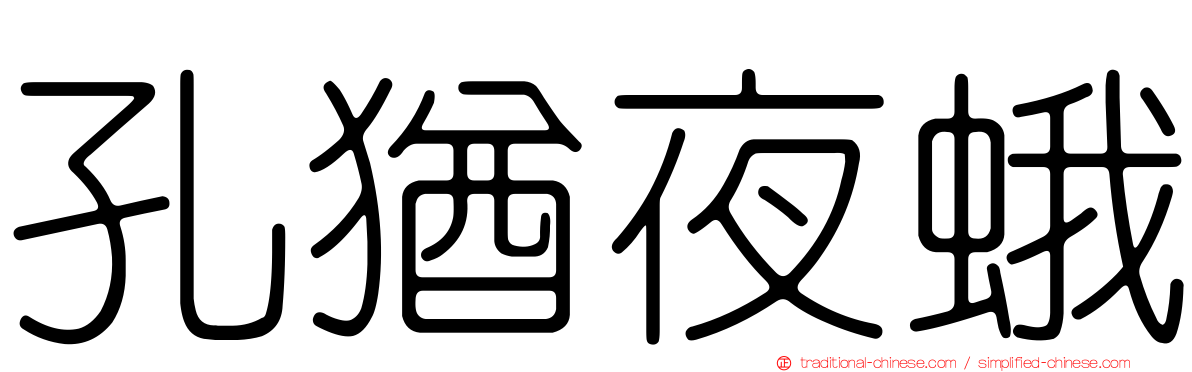 孔猶夜蛾