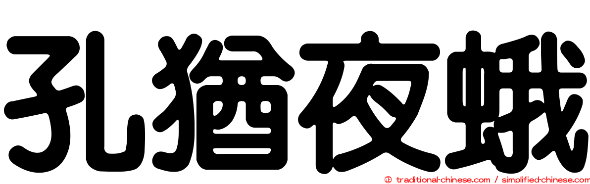 孔猶夜蛾