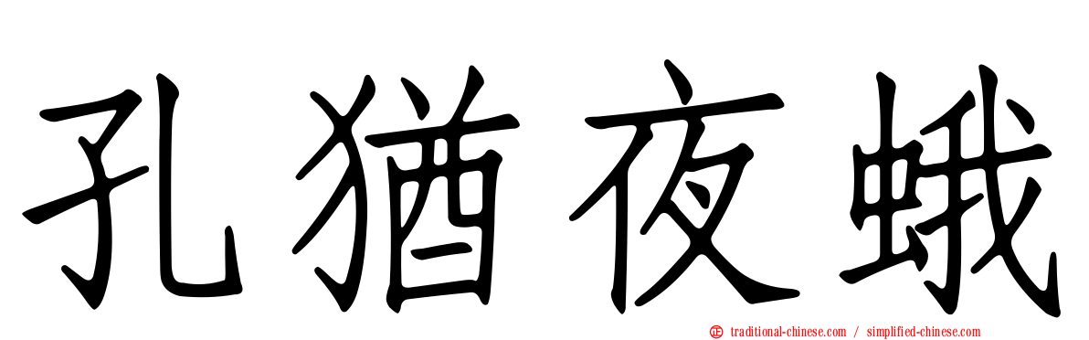 孔猶夜蛾