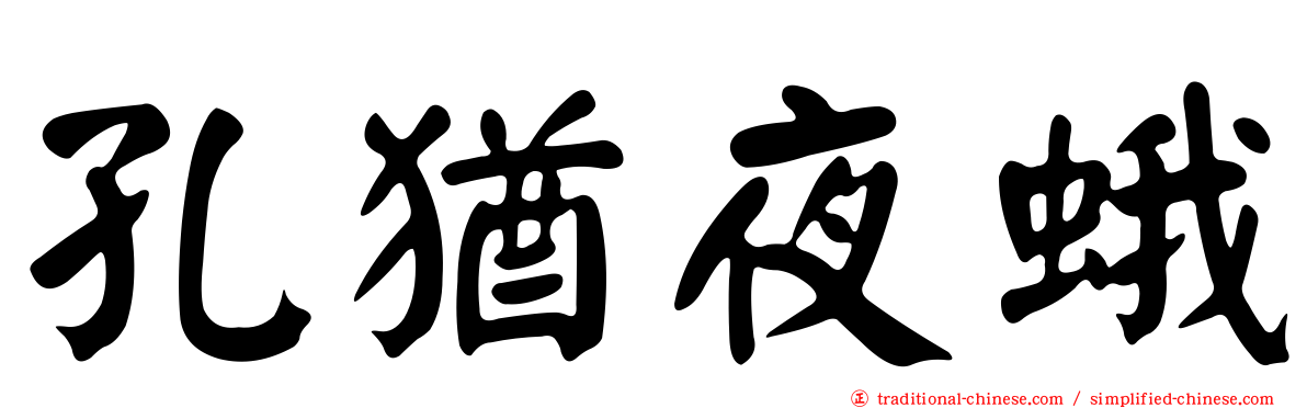 孔猶夜蛾